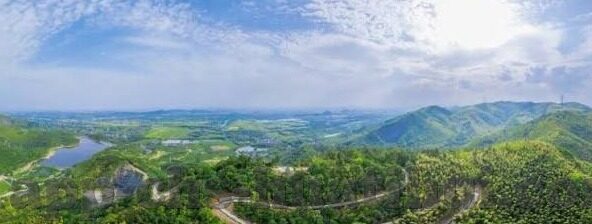 单场固定足球比分-单场固定足球比分，一场智慧与勇气的博弈盛宴