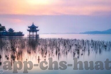 足球比分网动画直播-足球比分网动画直播，科技赋能下的足球盛宴新体验